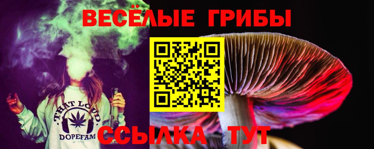 Псилоцибиновые грибы ЛСД  Вход с VPN  Гуково 